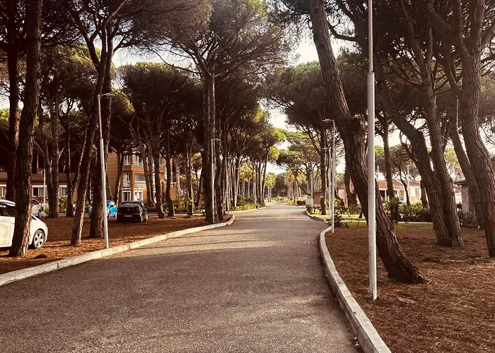 アパート Sunny Loft